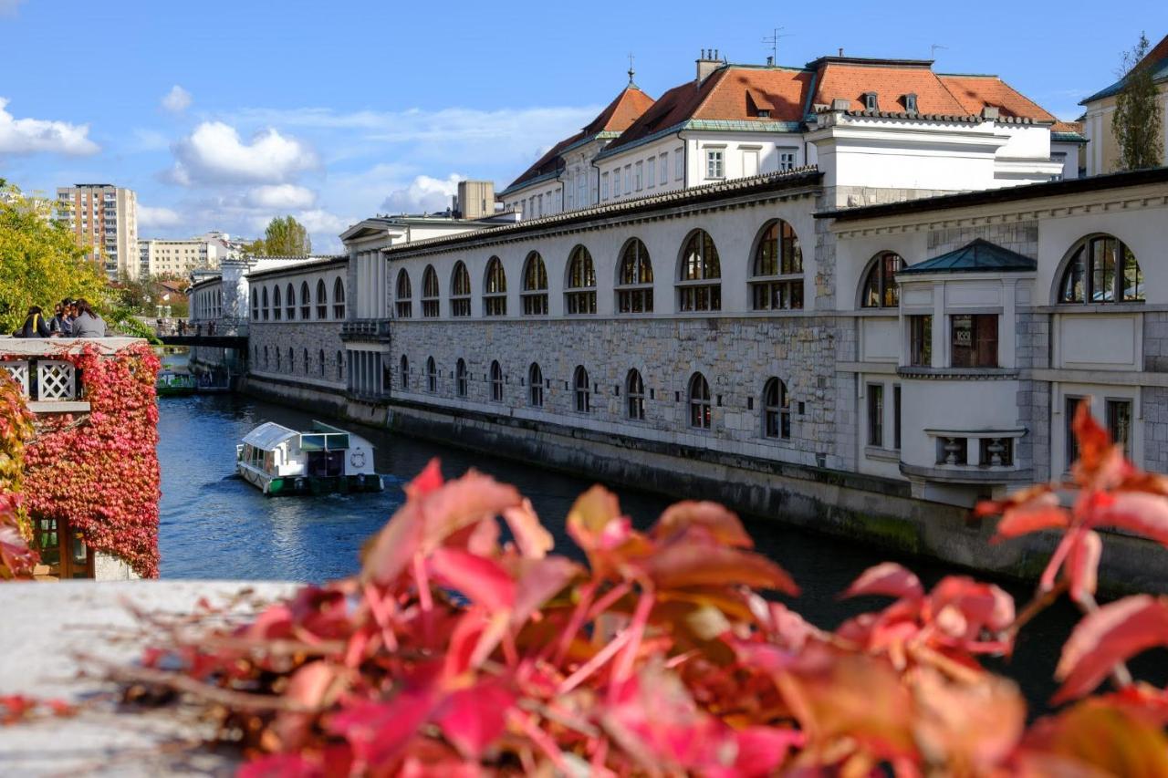 Apartment Villa Irena Great For A Family Holiday With Free Parking And Ev Station Ajdovščina 外观 照片