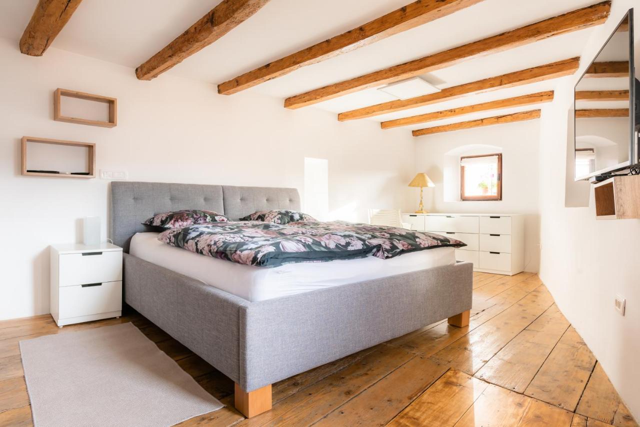 Apartment Villa Irena Great For A Family Holiday With Free Parking And Ev Station Ajdovščina 外观 照片