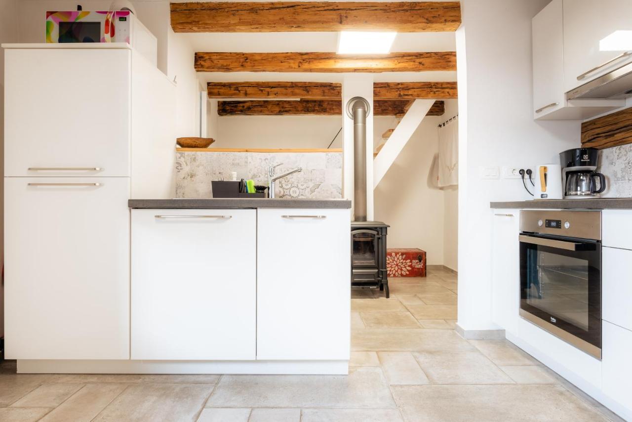 Apartment Villa Irena Great For A Family Holiday With Free Parking And Ev Station Ajdovščina 外观 照片